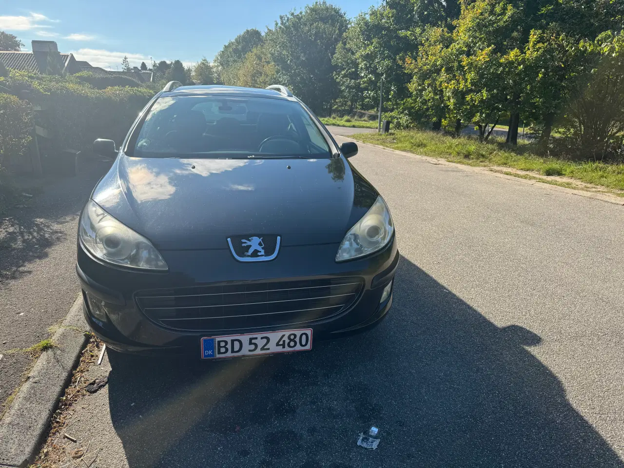 Billede 1 - Peugeot 407 SW nysynet 