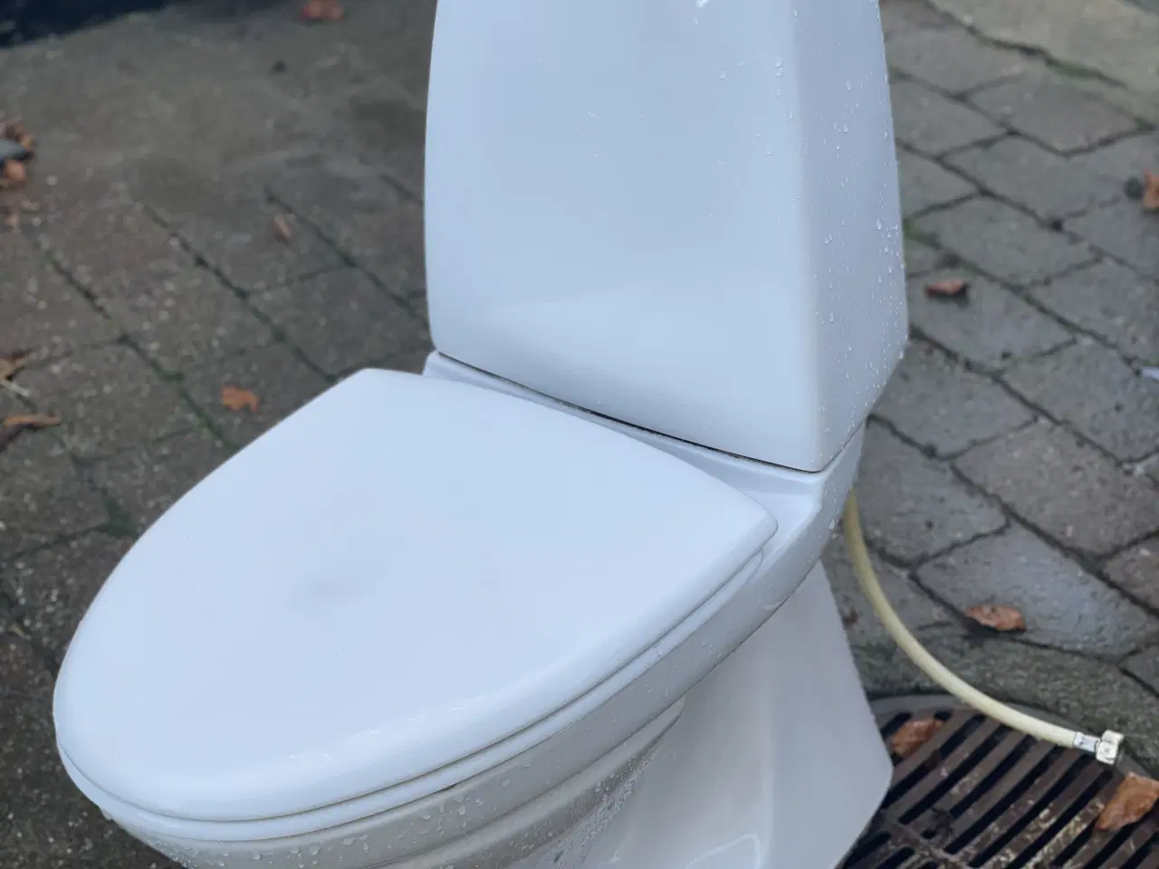 Billede 1 - Ifo toilet