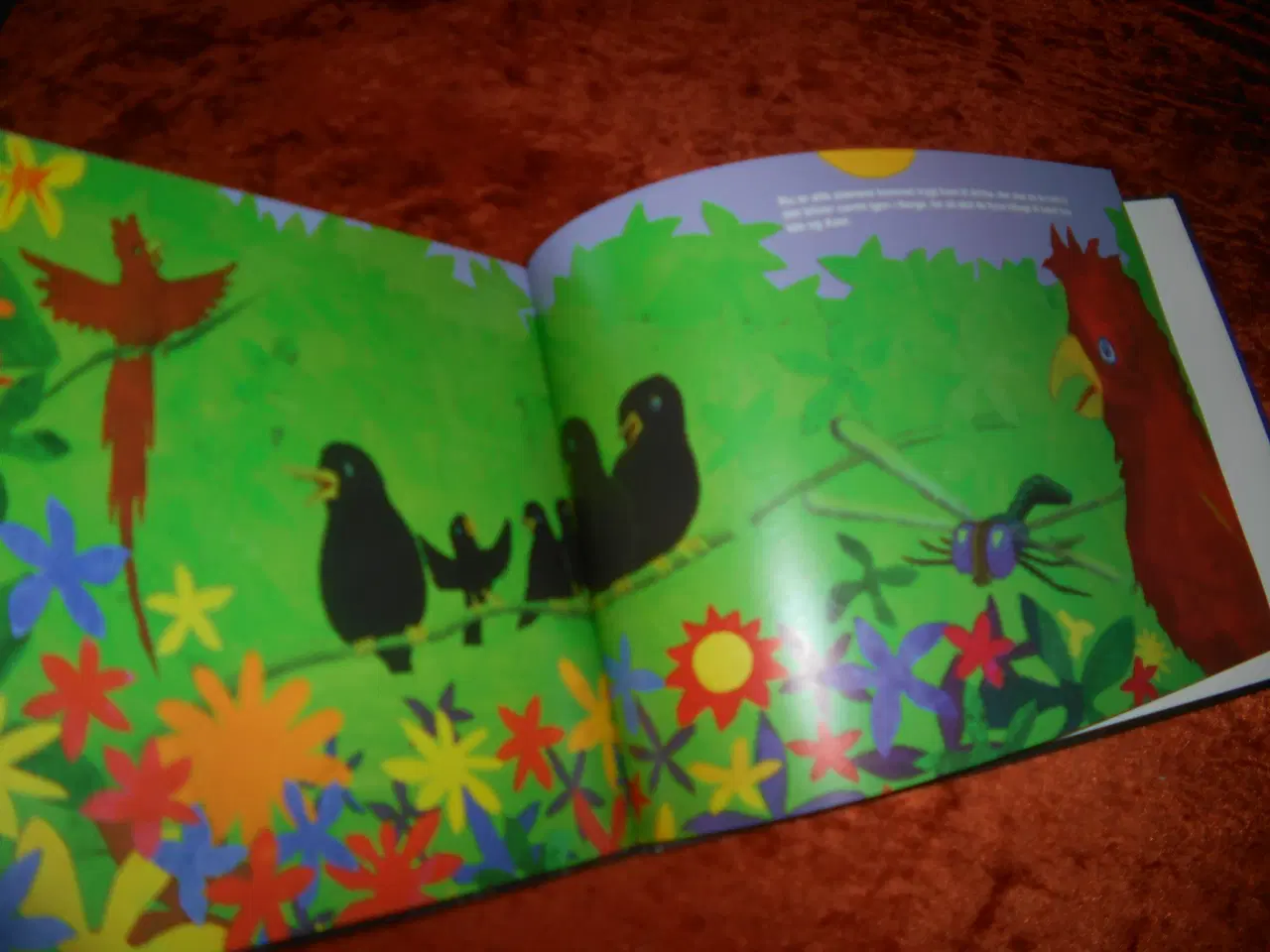 Billede 3 - Historien om Sissel Stær, Svein Fürstenberg Rysjed