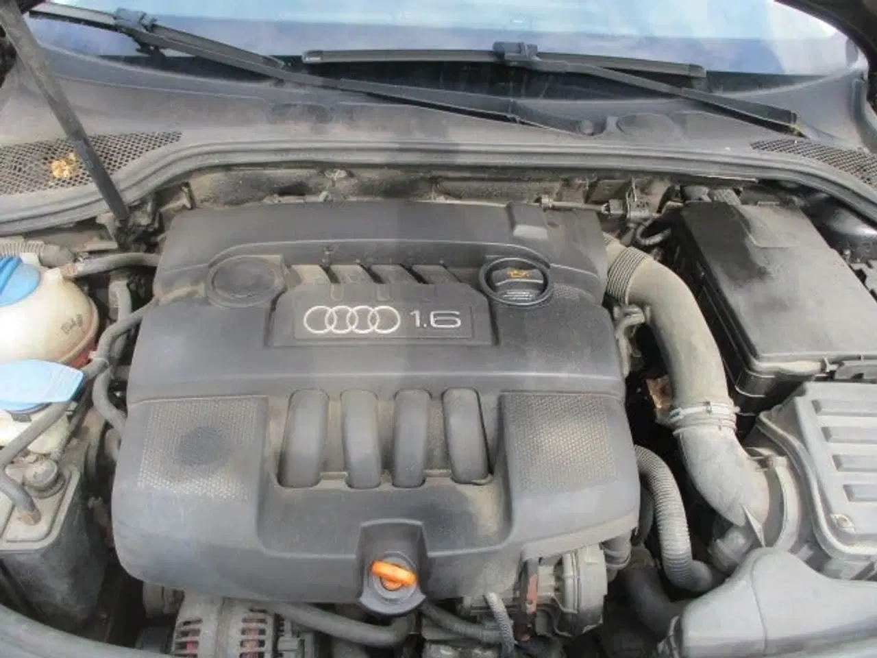 Billede 10 - Audi A3 1,6 Ambiente