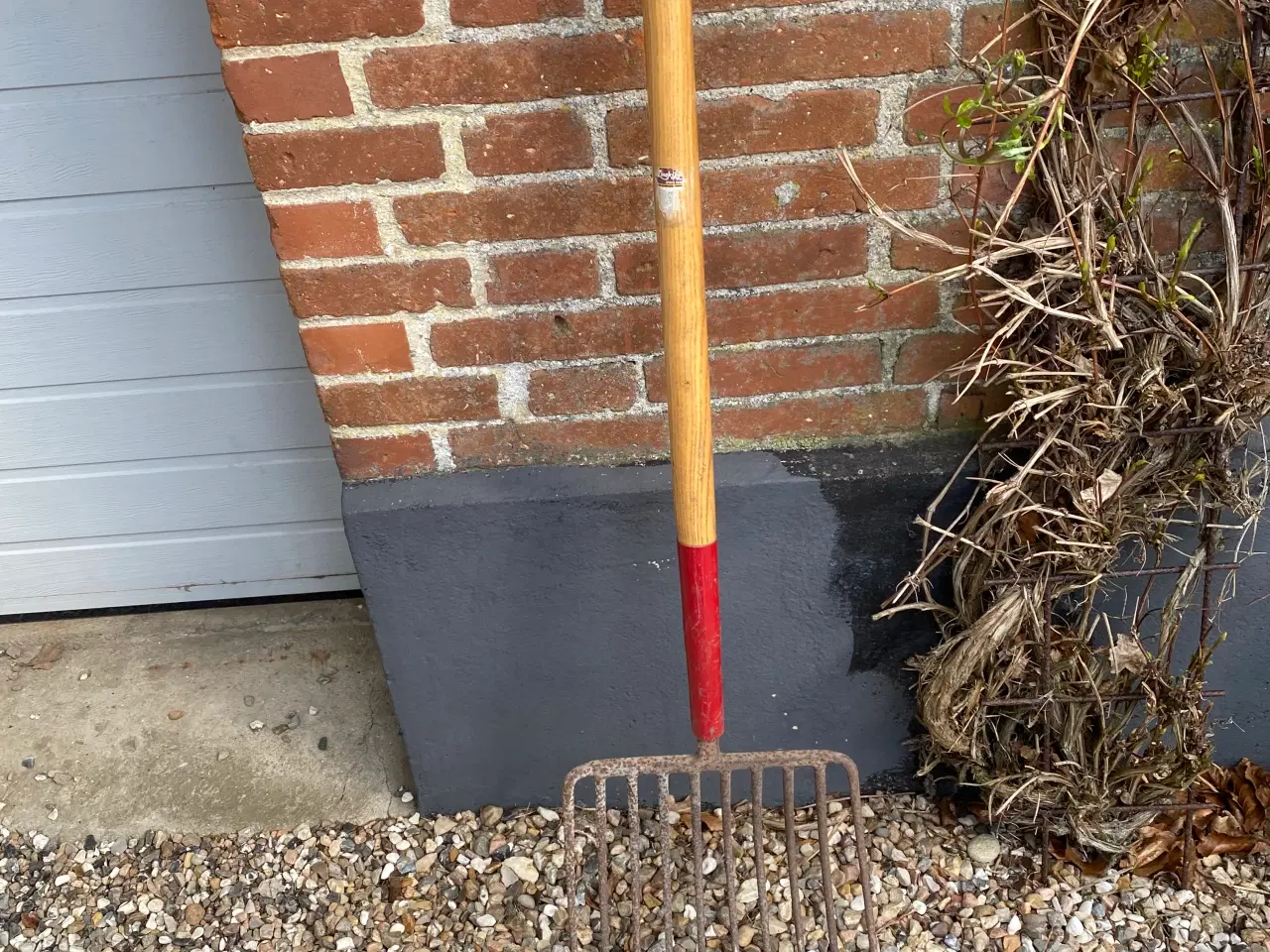 Billede 1 - Kartoffelgreb 