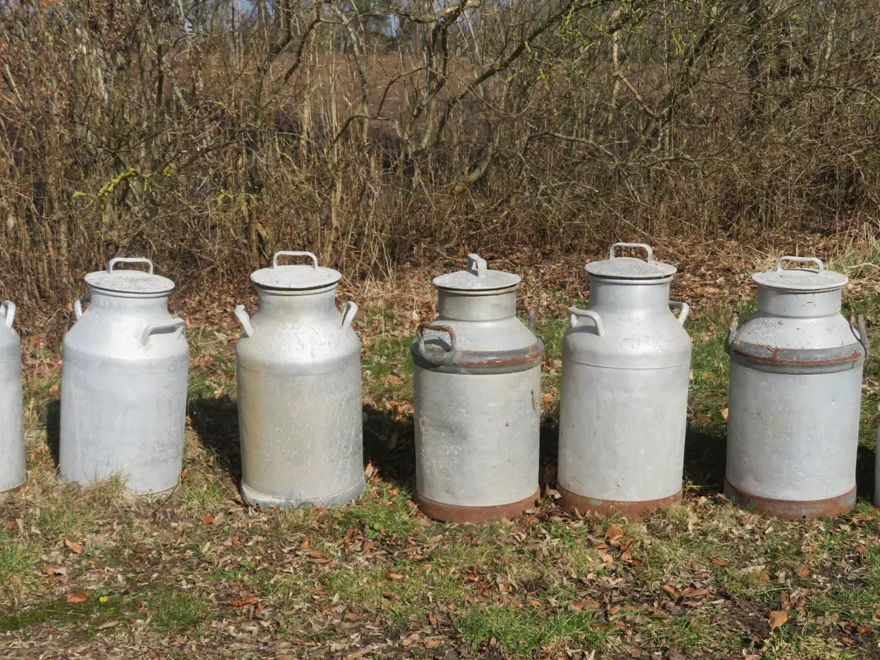 Billede 1 - Gamle mælkespande