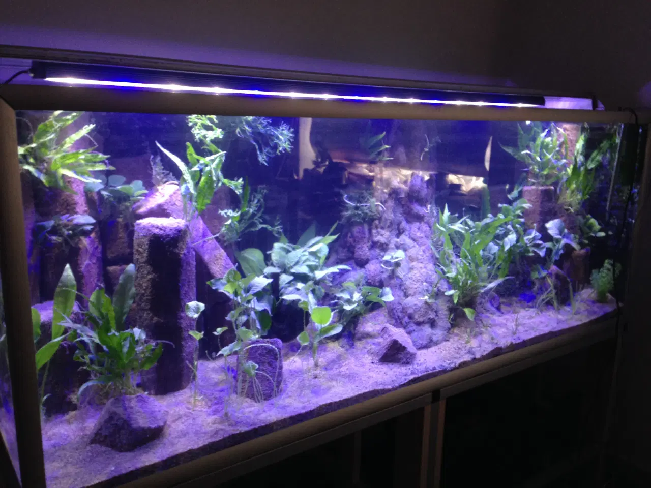 Billede 1 - Akvastabil akvarielampe kold