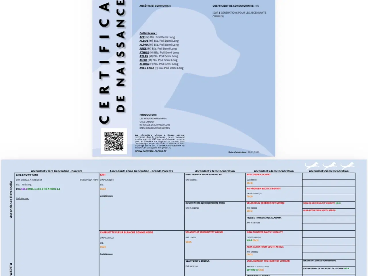Billede 7 - Sød hvid bamse 