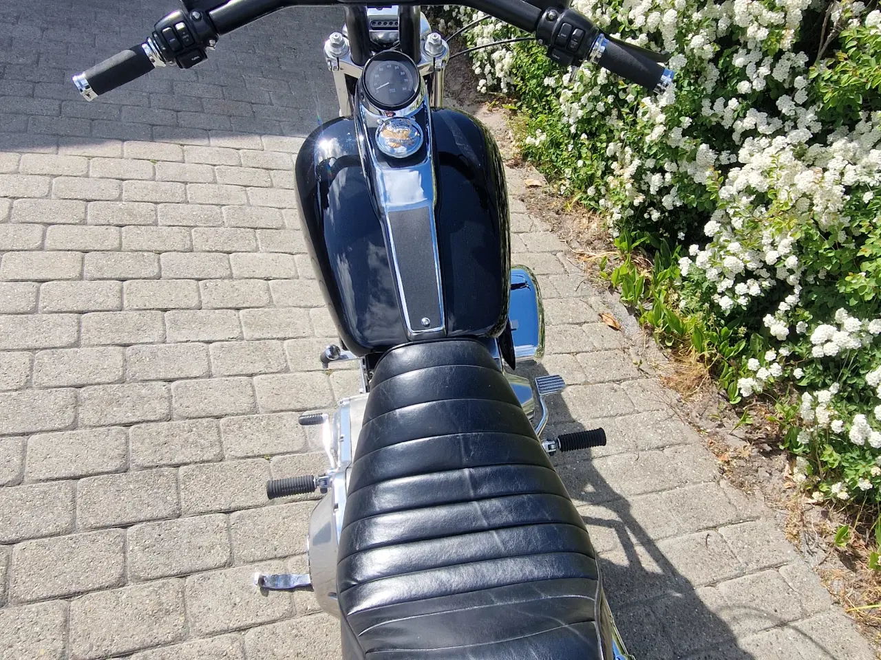 Billede 4 - Harley Davidson FXR Evo