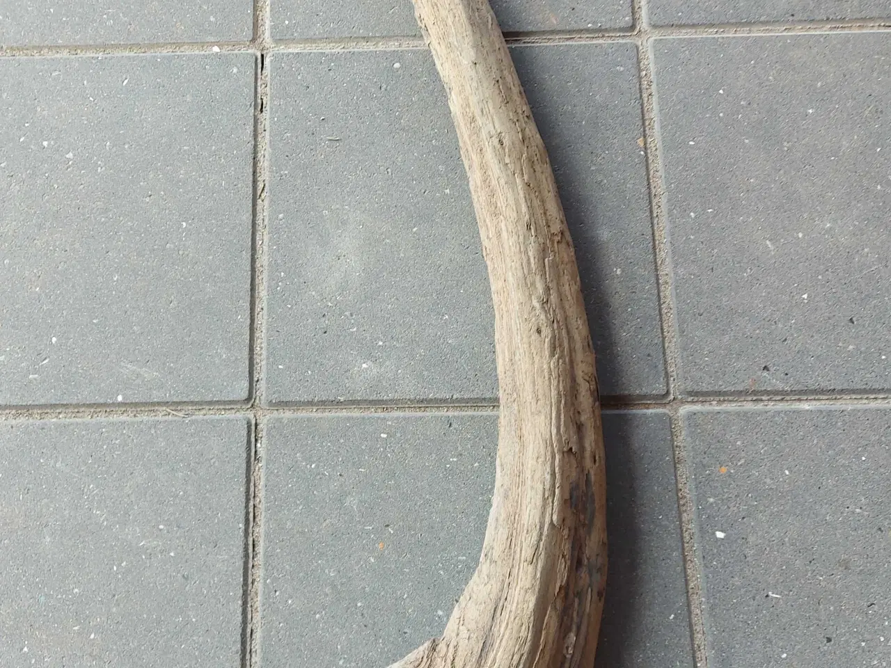 Billede 2 - Drivtømmer, flot buet stykke på 1 meter