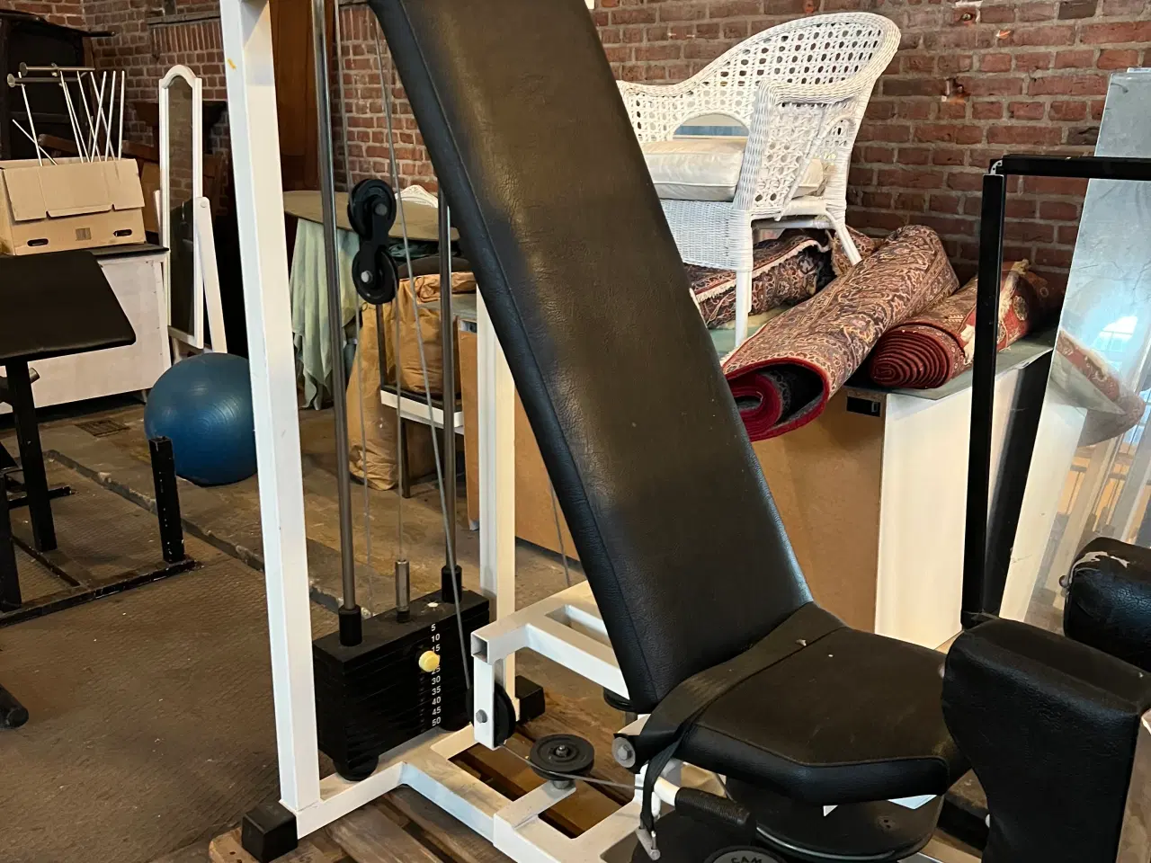 Billede 1 - 2 STK TECHNOGYM BEN BALLE MASKINER