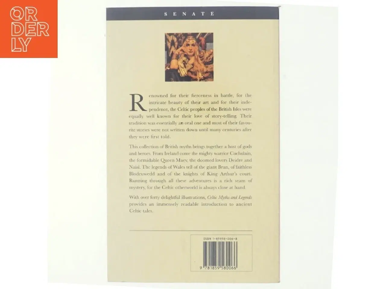Billede 3 - Celtic Myths and Legends af Thomas William Rolleston (Bog)