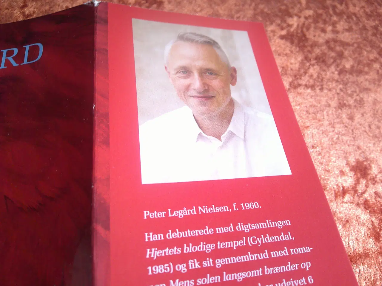 Billede 2 - De fremmede, Peter Legård Nielsen, 