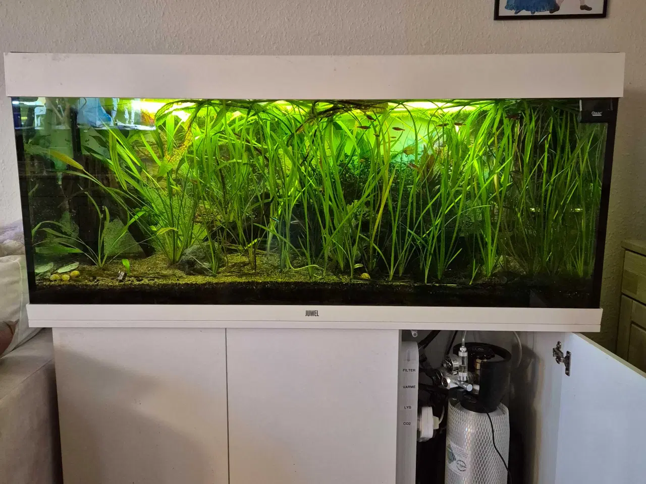 Billede 2 - Juwel 240 med skab