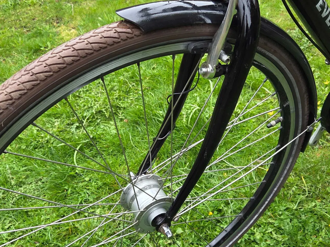 Billede 6 - EVERTON 53 cm 