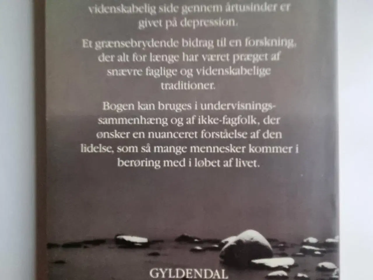 Billede 3 - Hvad betyder depression?
