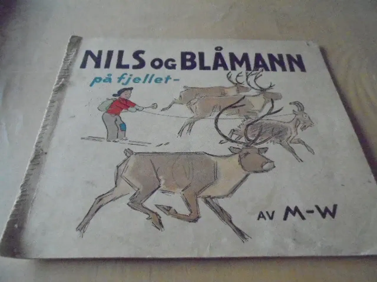 Billede 1 - Nils og Blåmann på fjellet