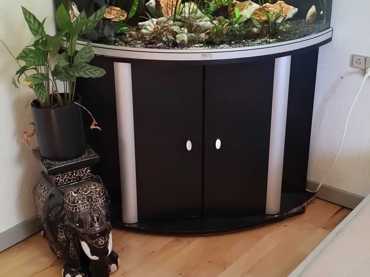 Billede 1 - Hjørne akvarie 325liter