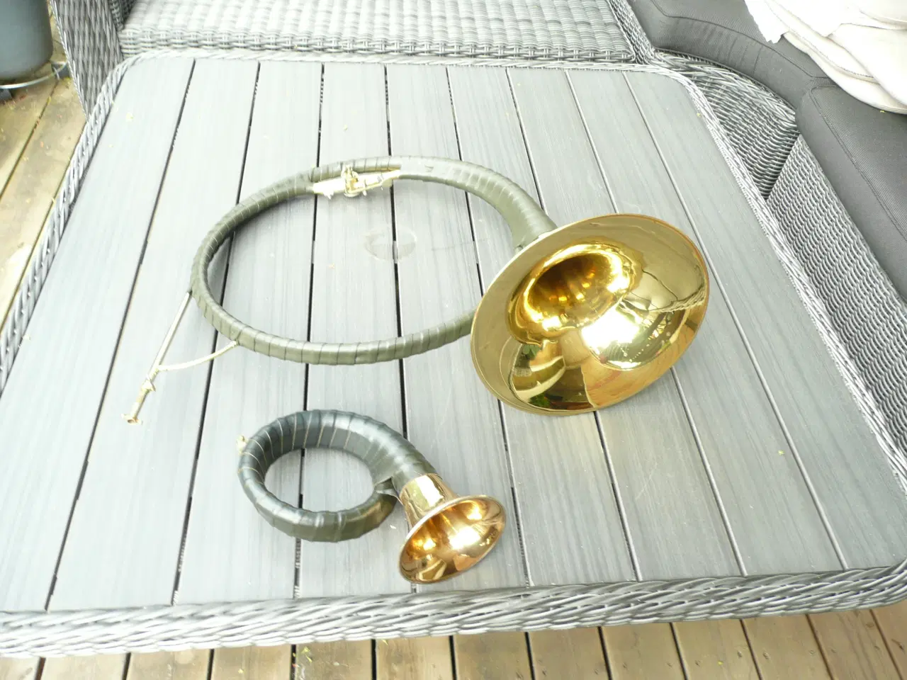 Billede 1 - par forse horn