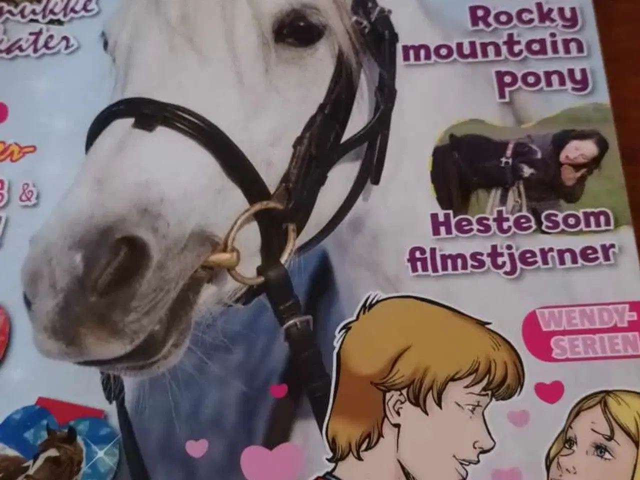 Billede 4 - Wendy Blad.