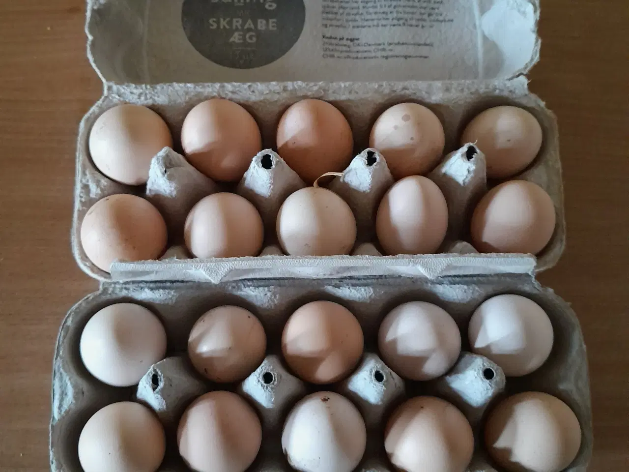Billede 1 - rugeæg/kyllinger 