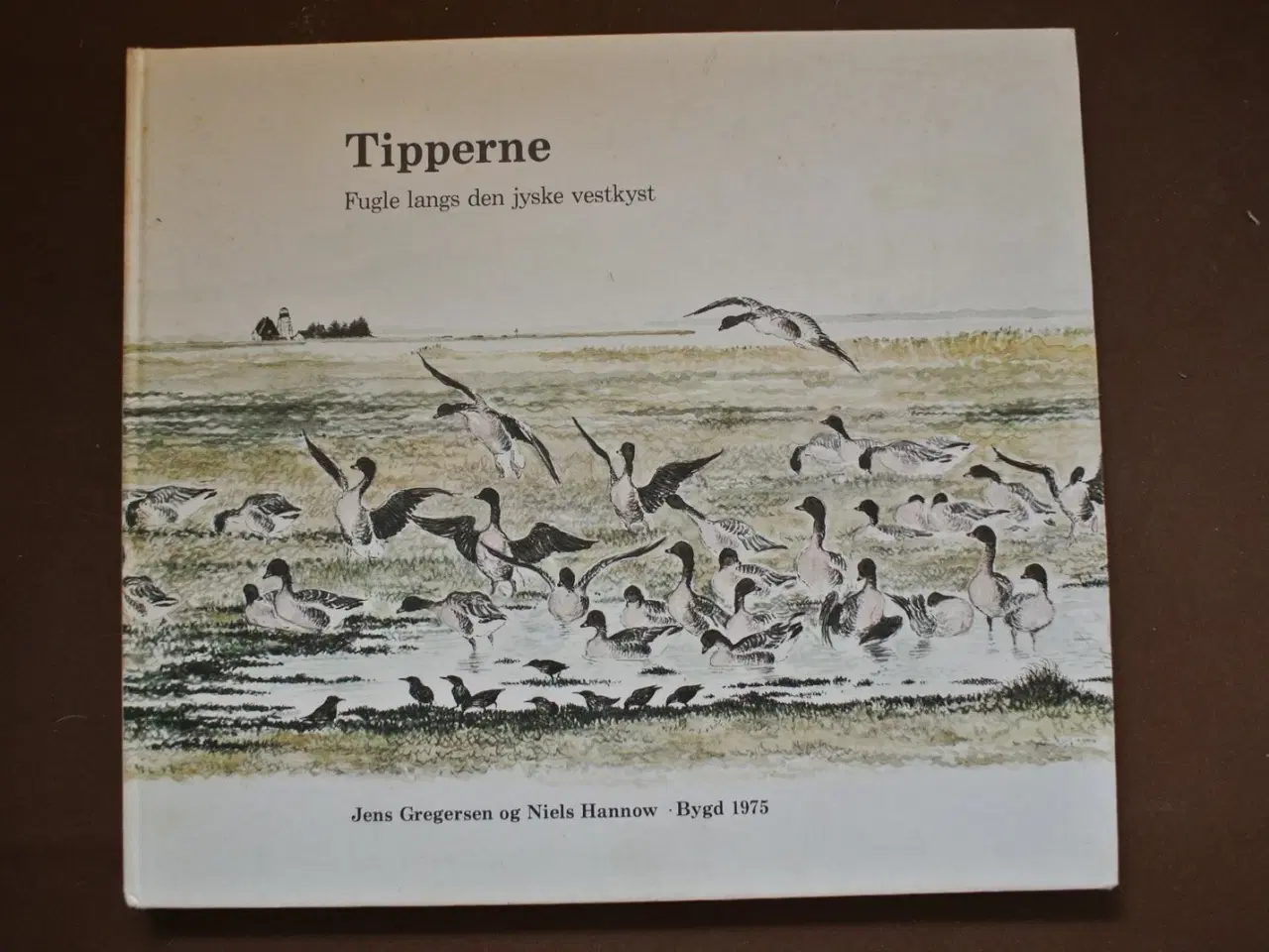 Billede 1 - tipperne. fugle langs den jyske vestkyst, Af jens 