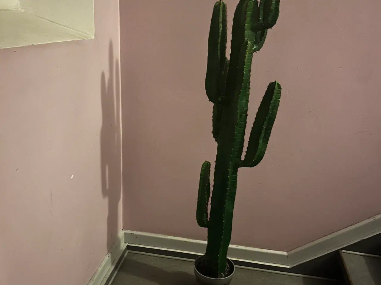 Billede 2 - Kunstig kaktus, 160 cm høj 