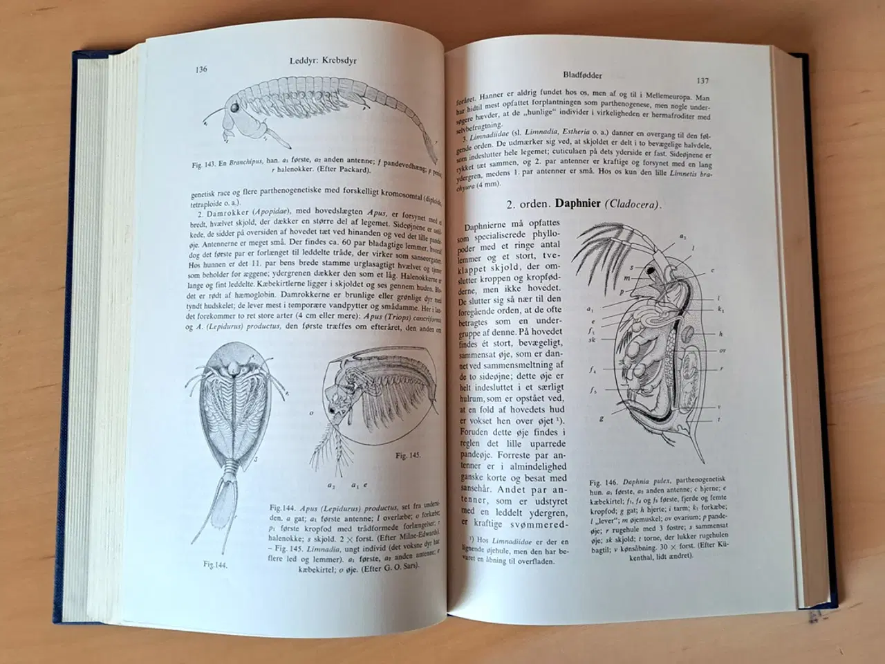 Billede 6 - Boas & Thomsen: Zoologi, vol. 1, 2 og 3