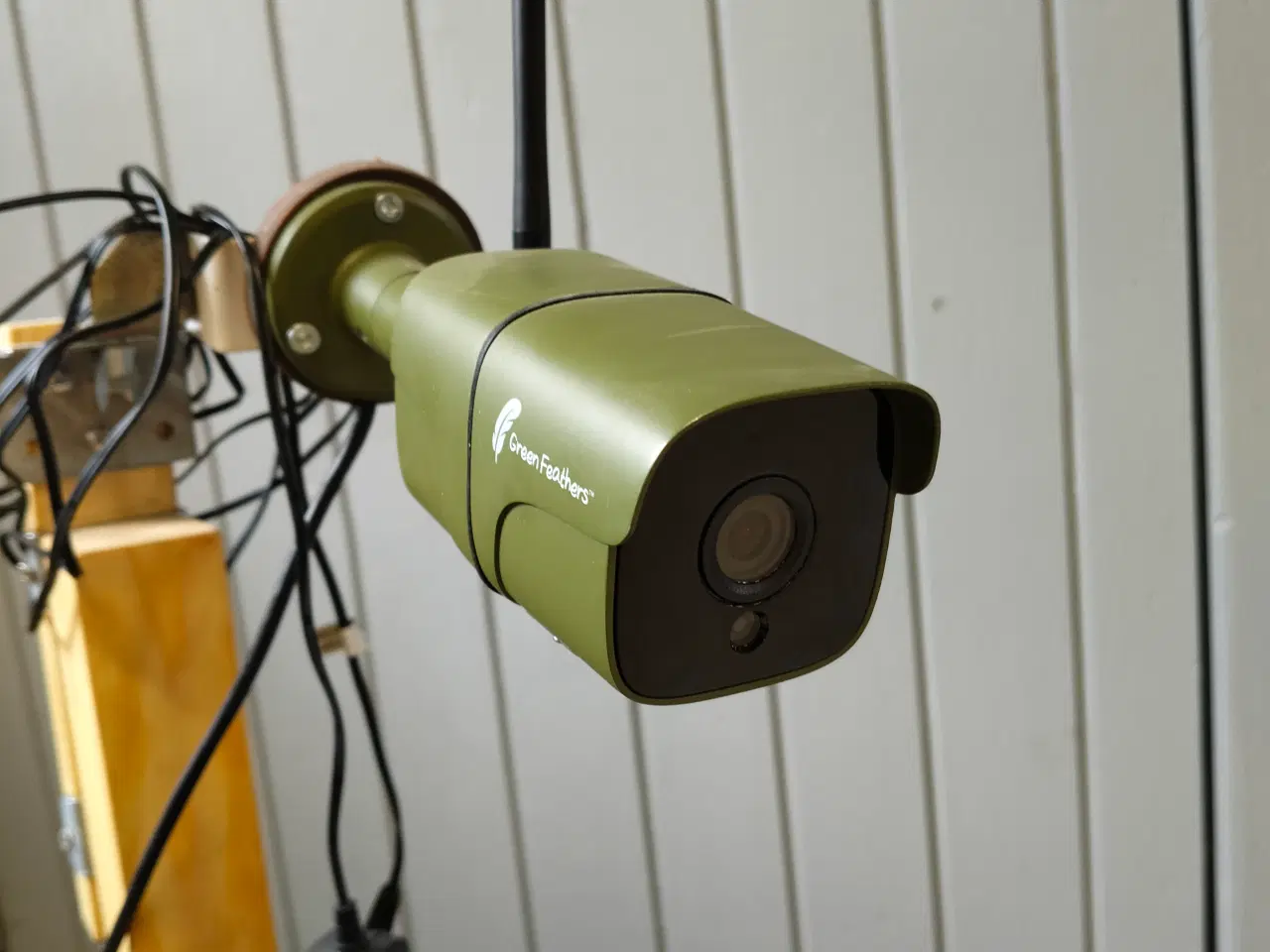 Billede 1 - Green Feathers HD WiFi vildtkamera