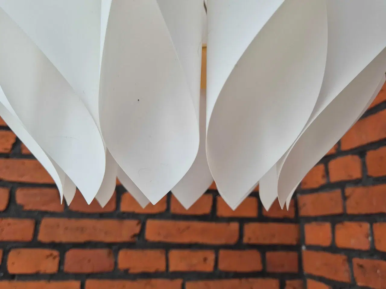 Billede 13 - Velholdt smuk hvid Butterfly 