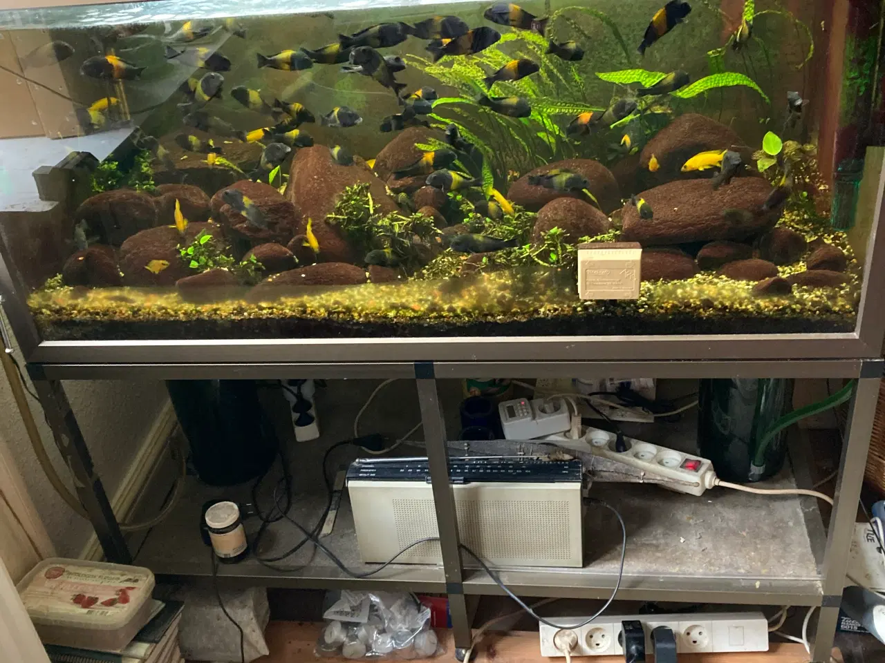 Billede 1 - Bronce farvet special alu 330liter .L110*H50*B60 .