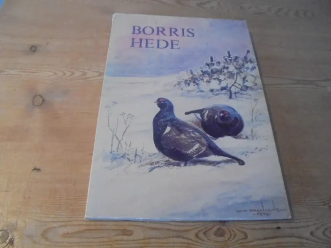 Billede 1 - Borris hede – se fotos og omtale