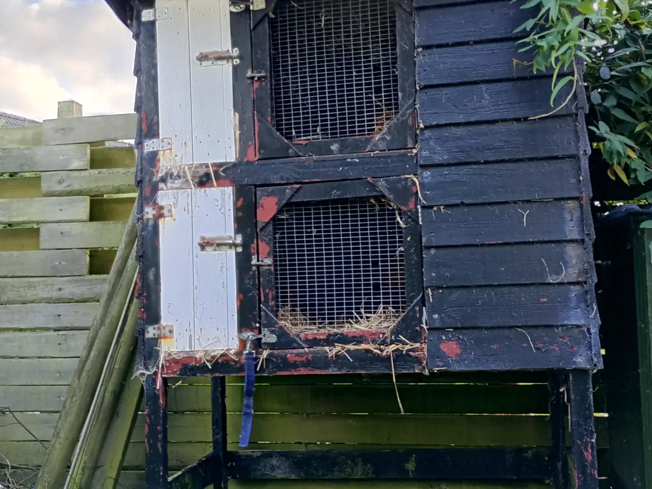 Billede 1 - Kaninbur - udendørs