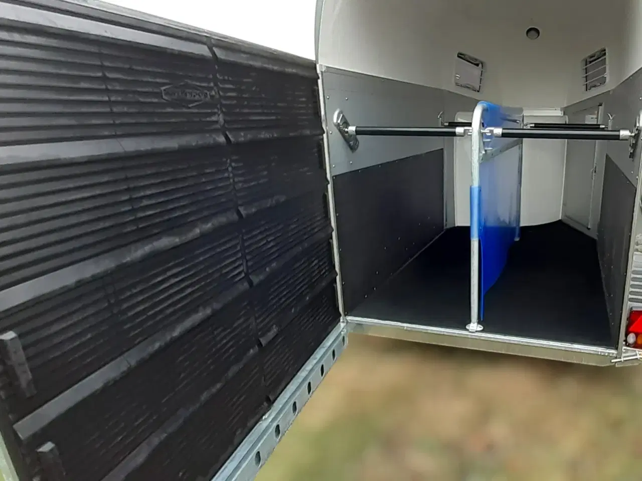 Billede 10 - Böckmann Champion Esprit (Udstilling)