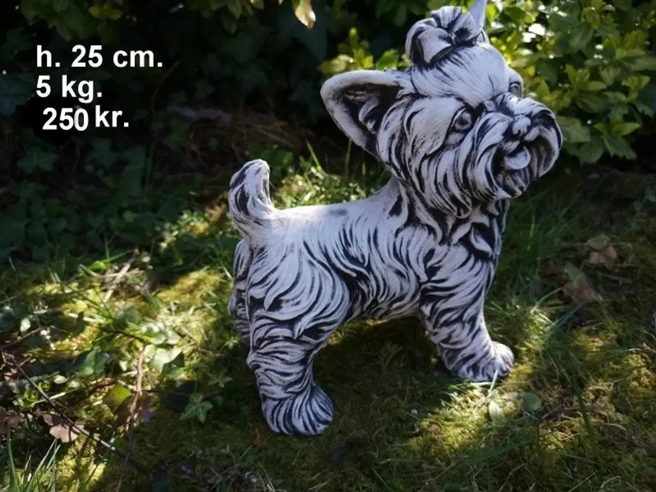 Billede 12 - HAVEFIGUR Smukke betonhunde – forskellige racer 🐾