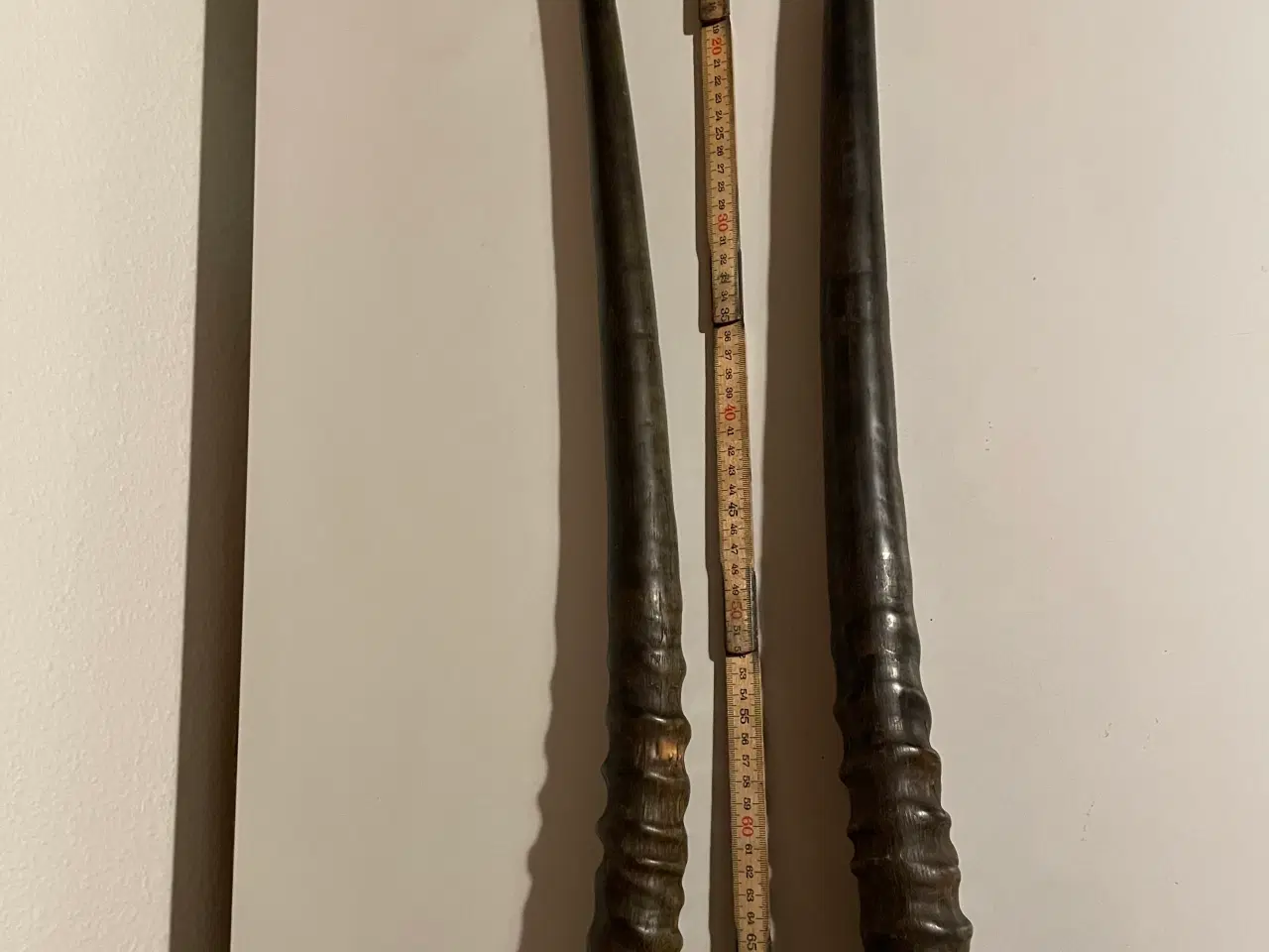 Billede 2 - Antilopehorn