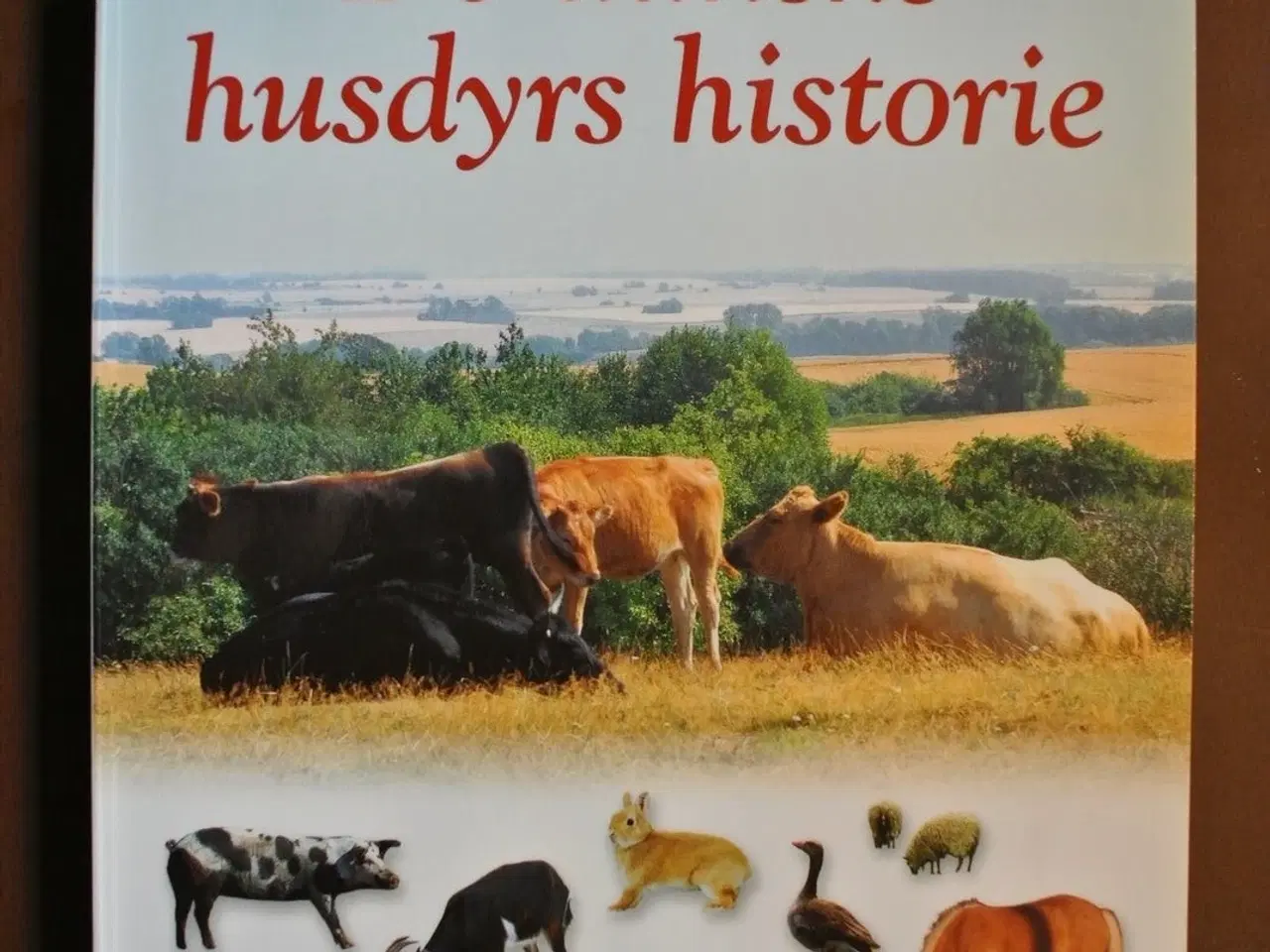 Billede 1 - de danske husdyrs historie, Af jørgen liljensøe