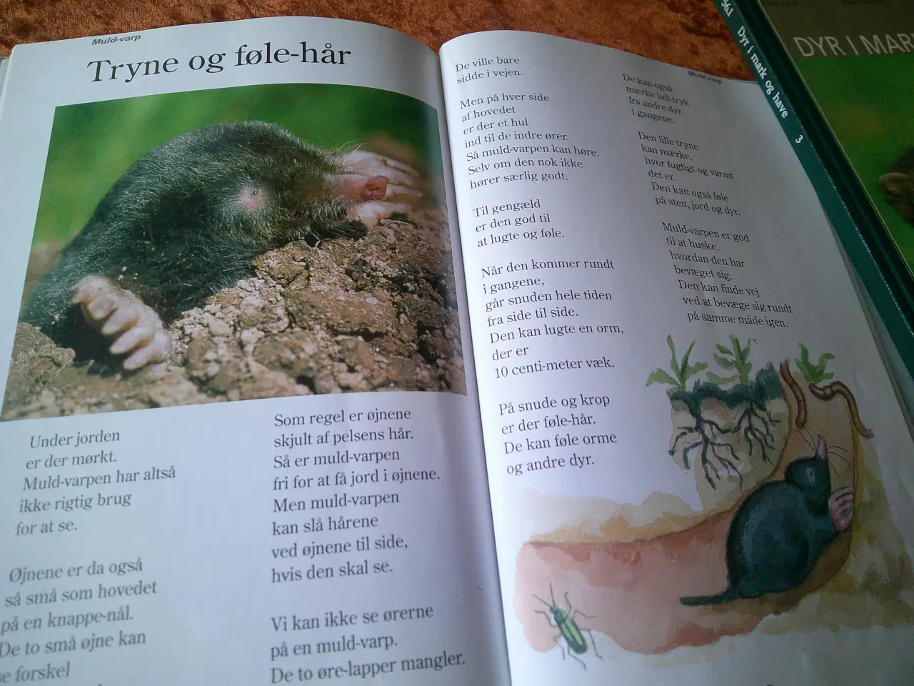 Billede 4 - Dyr i mark og have, Peter Bering, Birgitte Bering