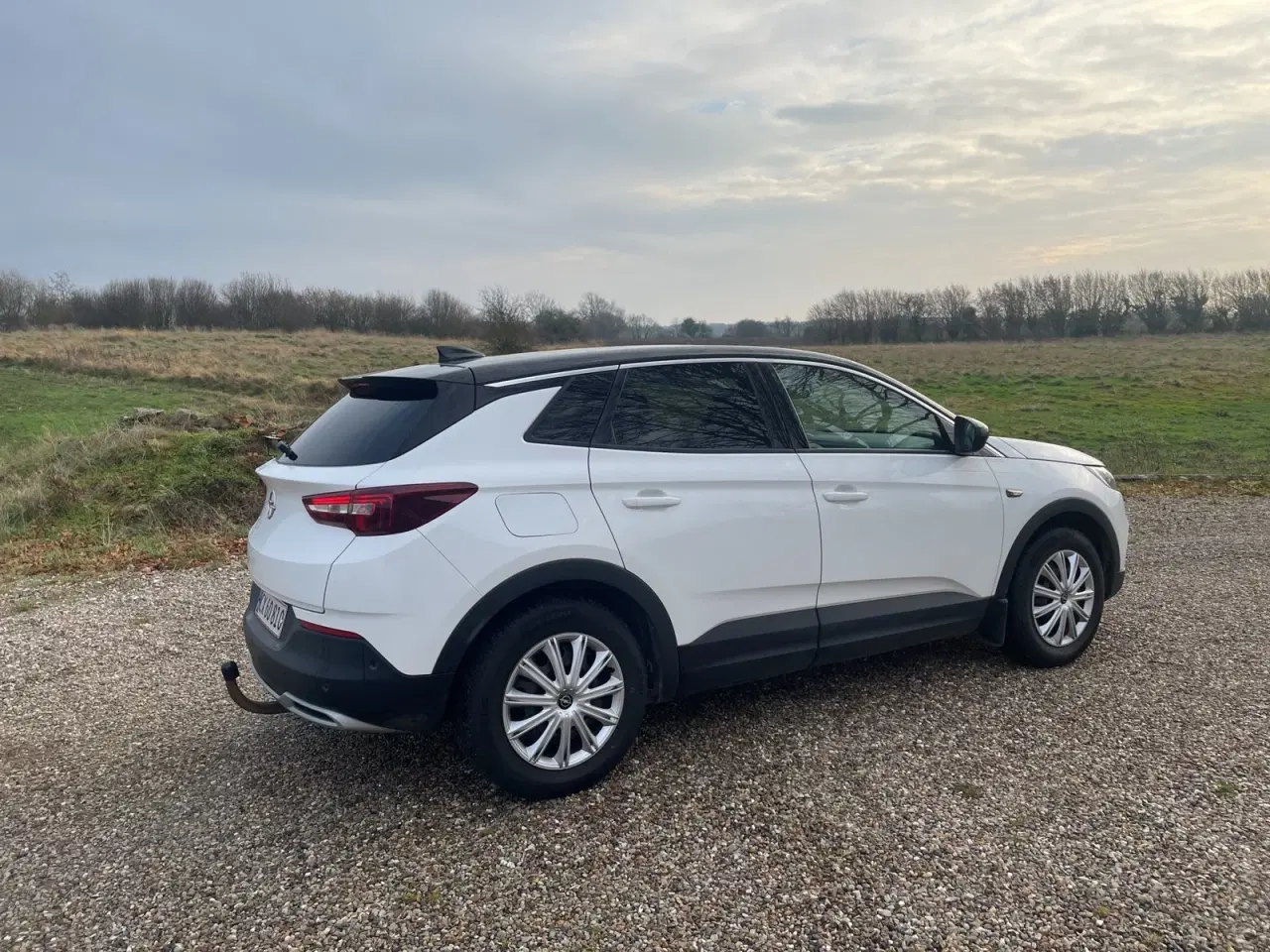 Billede 5 - Opel Grandland X 1,6 CDTi 120 Innovation aut.