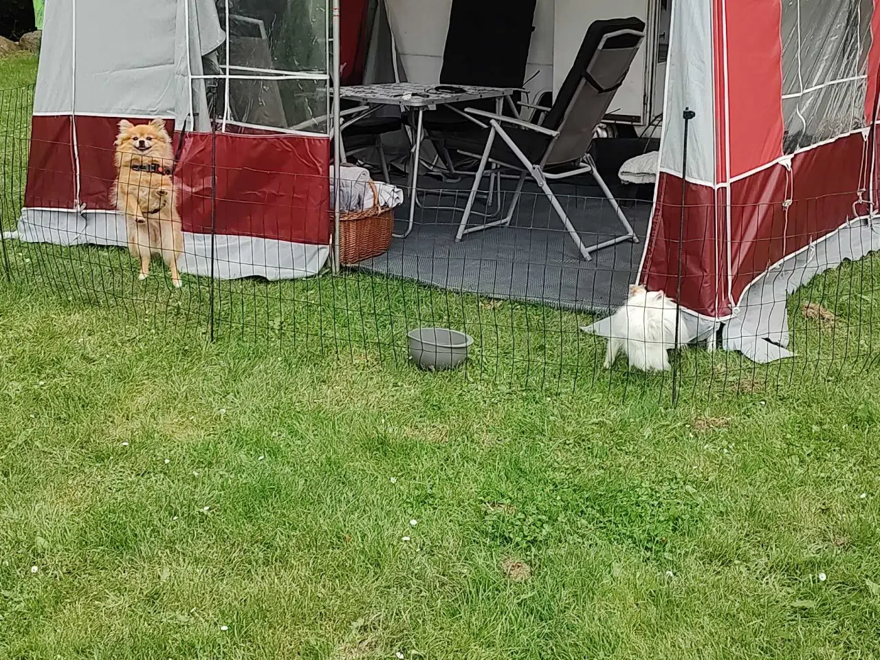 Billede 4 - Sprite campingvogn 