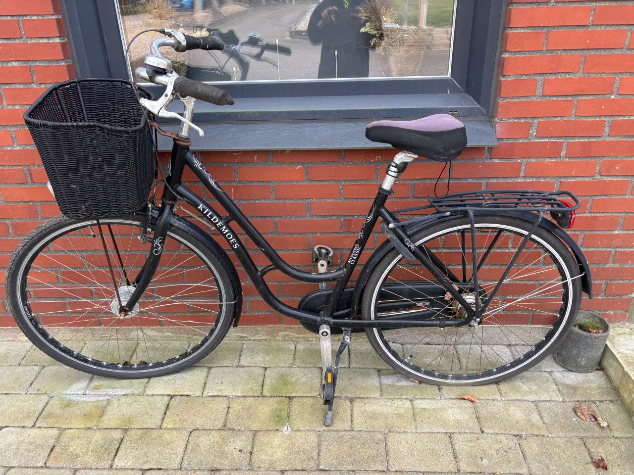 Billede 1 - Trænger til en kærlig hånd