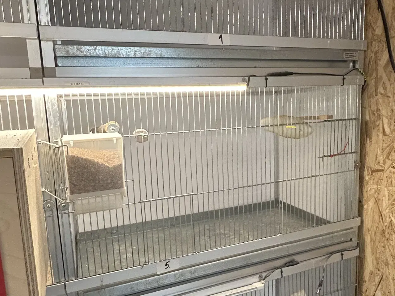 Billede 1 - Fuglebur/ ynglebure