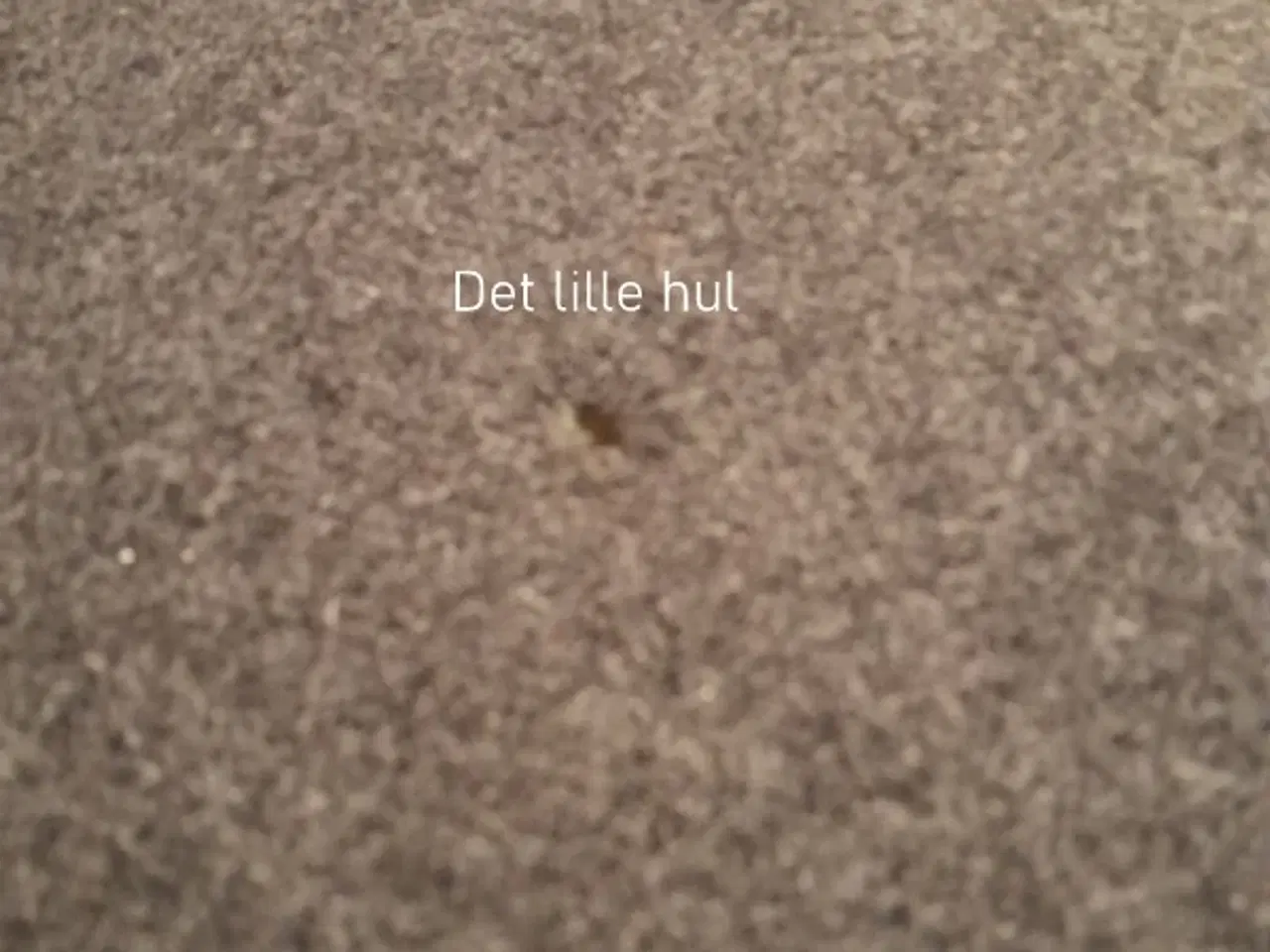 Billede 4 - Hestbæk sovesofa model 145