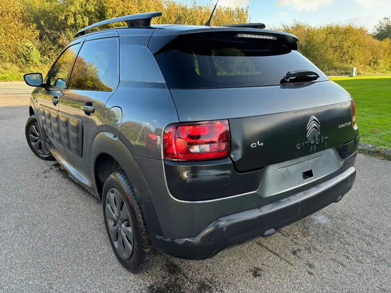 Billede 4 - Citroën C4 Cactus 1,6 BlueHDi 100 Feel Complet Van