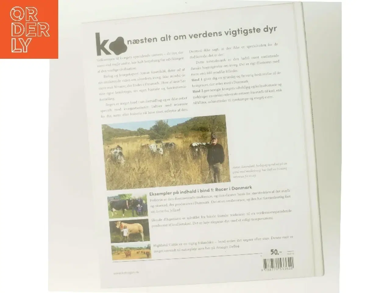 Billede 3 - Ko - næsten alt om verdens vigtigste dyr af Anton Raundahl (Bog)