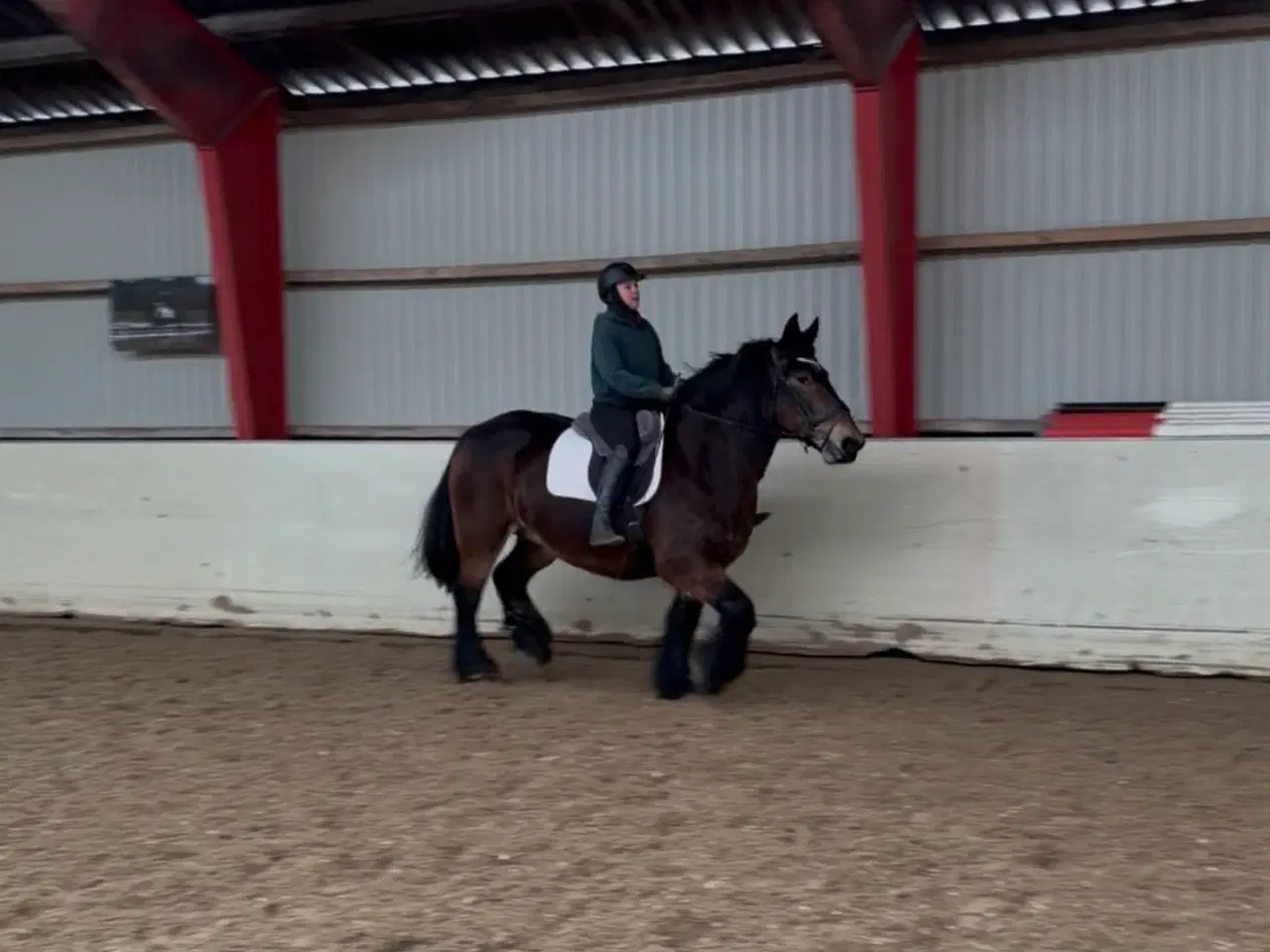 Billede 6 - Elev/ridefys emne