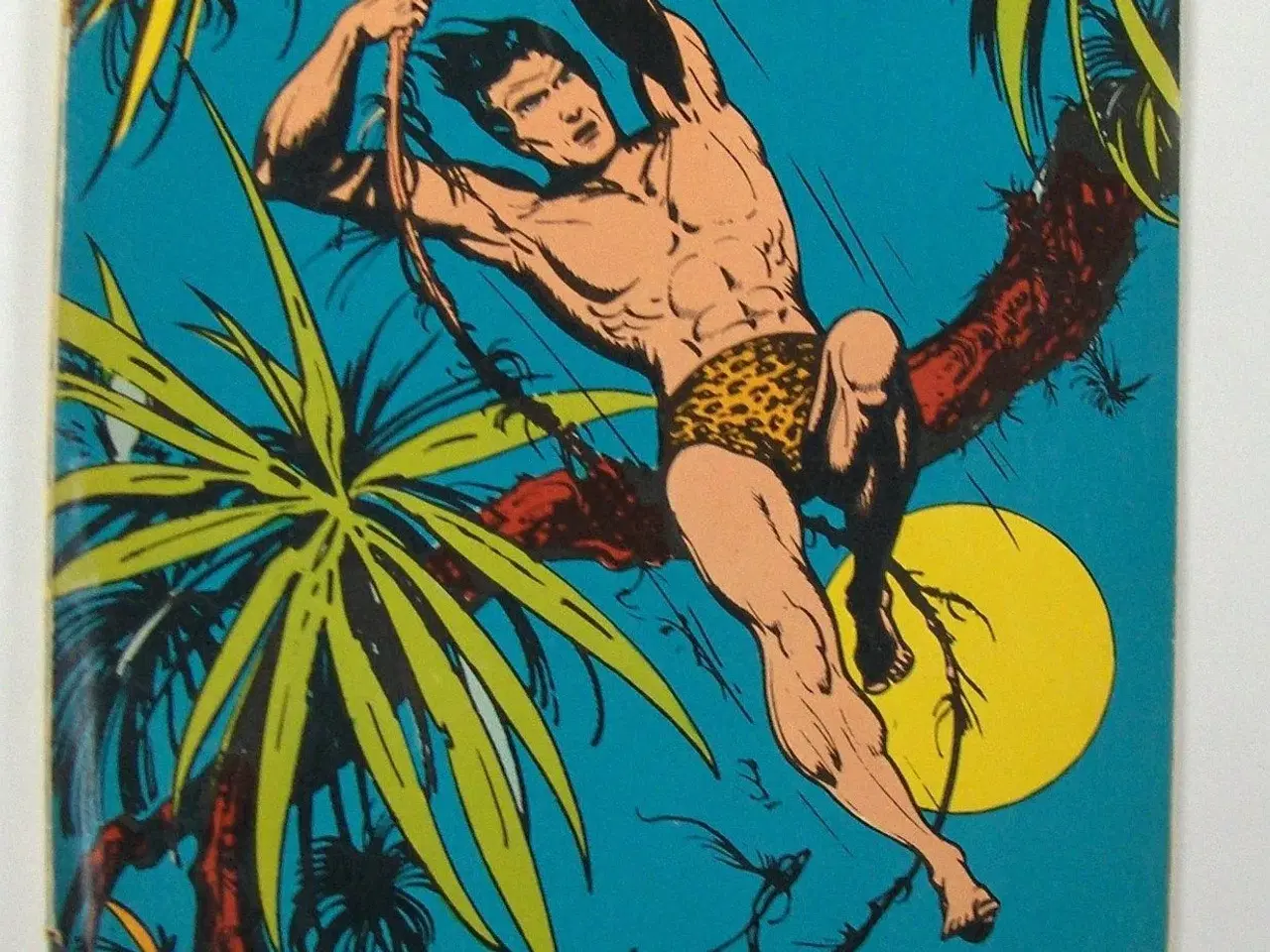 Billede 2 - Tarzan  tegneserier