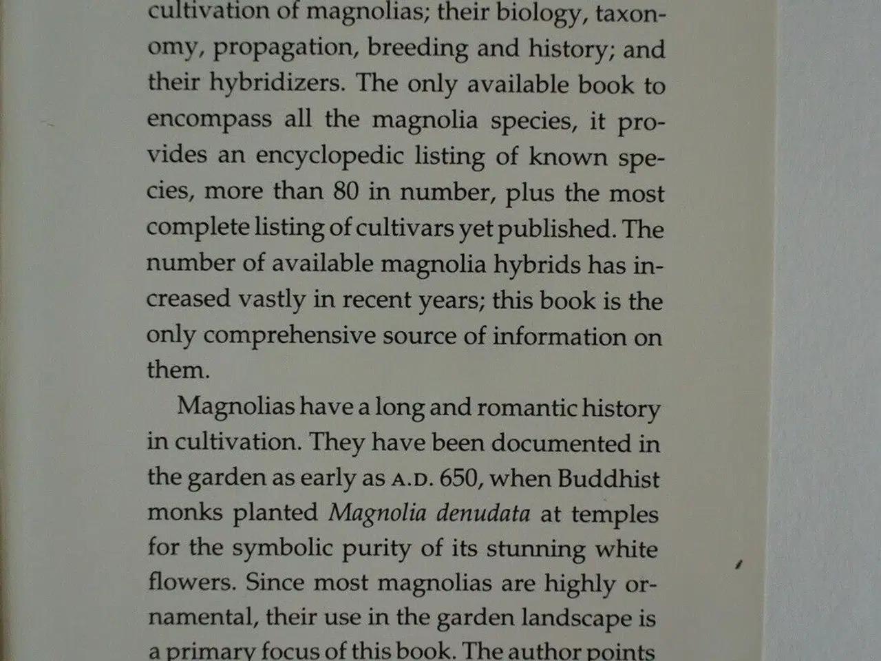 Billede 5 - magnolias, by dorothy j. callaway