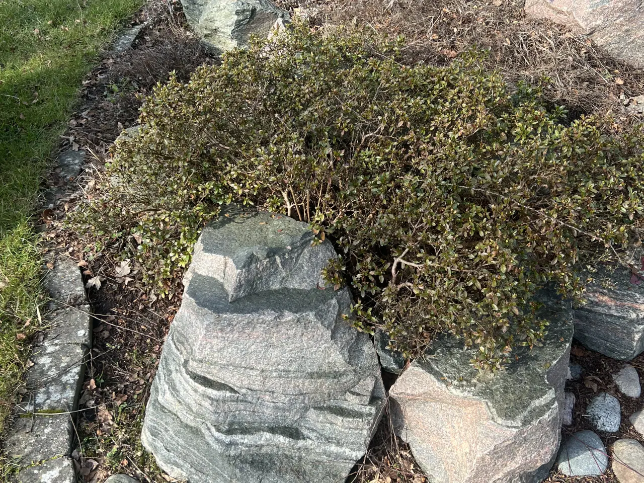 Billede 2 - Gratis granitsten / store natursten til haven 