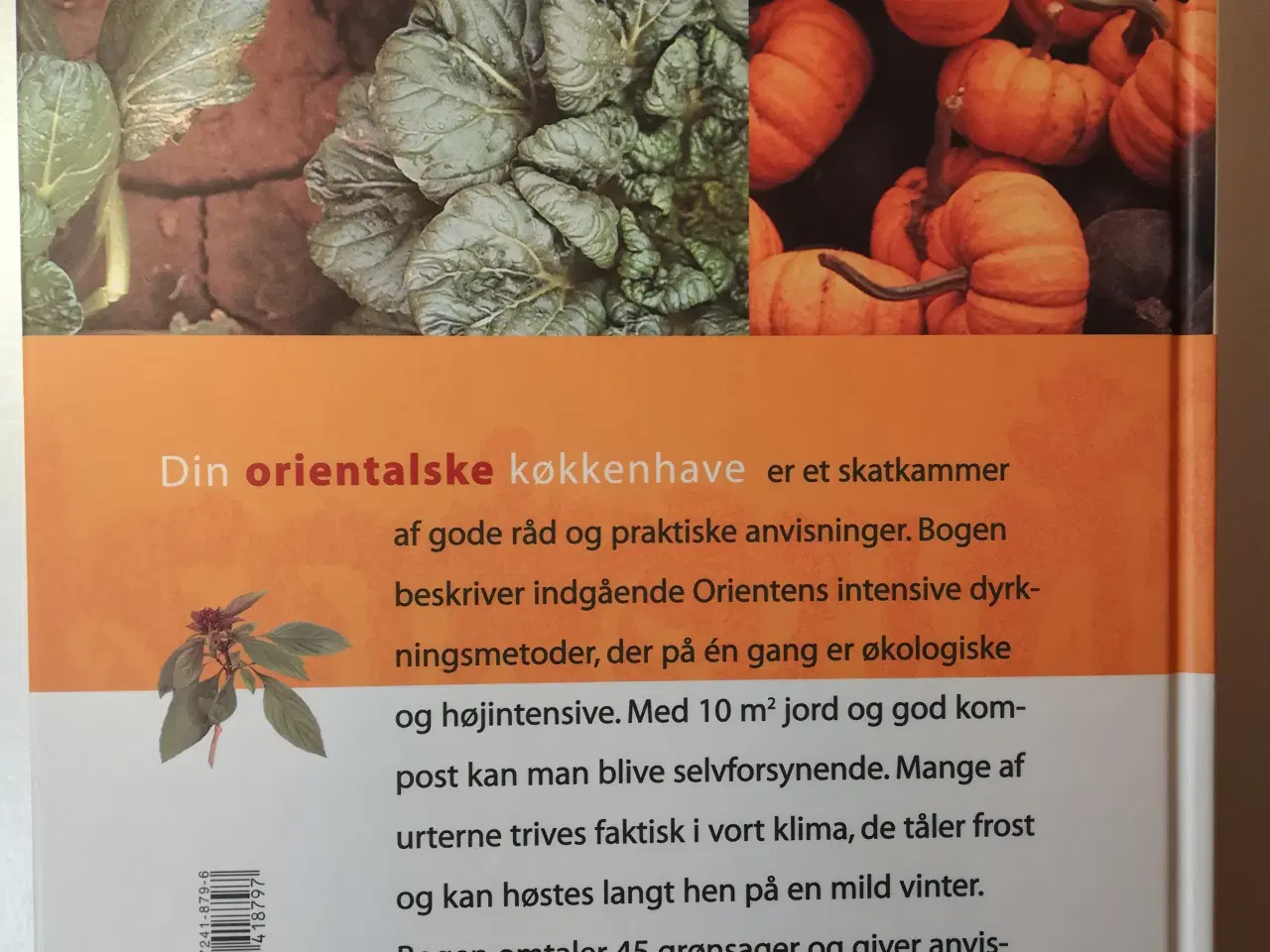 Billede 3 - Din orientalske køkkenhave