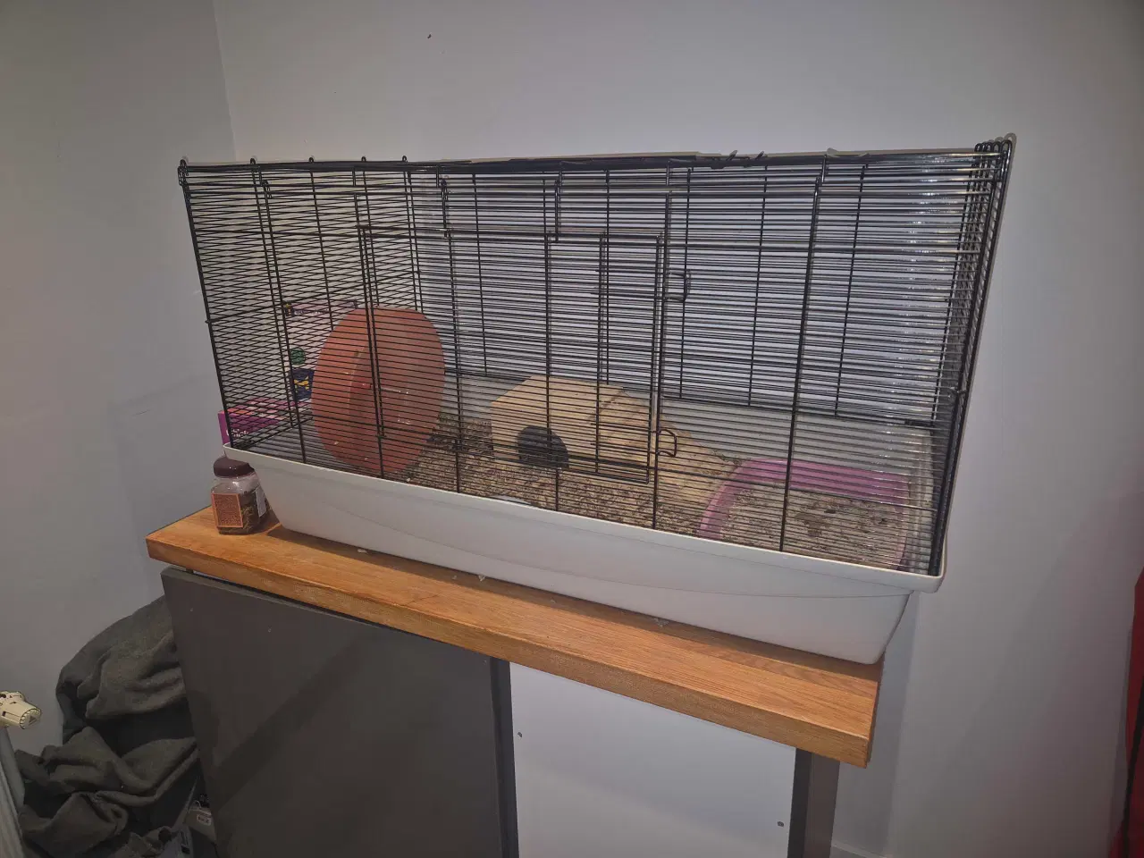 Billede 1 - Pindsvin