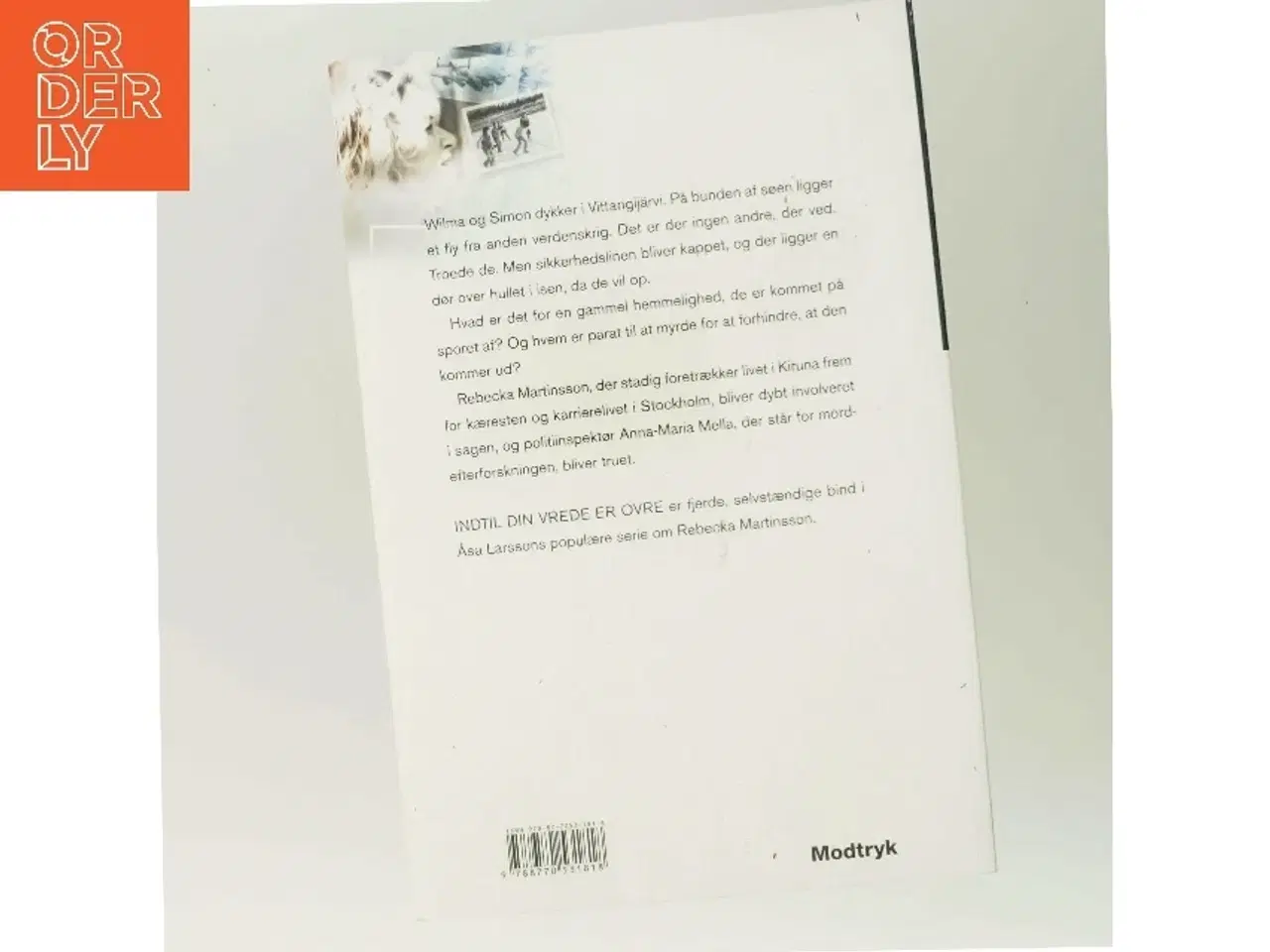 Billede 3 - Indtil din vrede er ovre af Åsa Larsson (Bog)