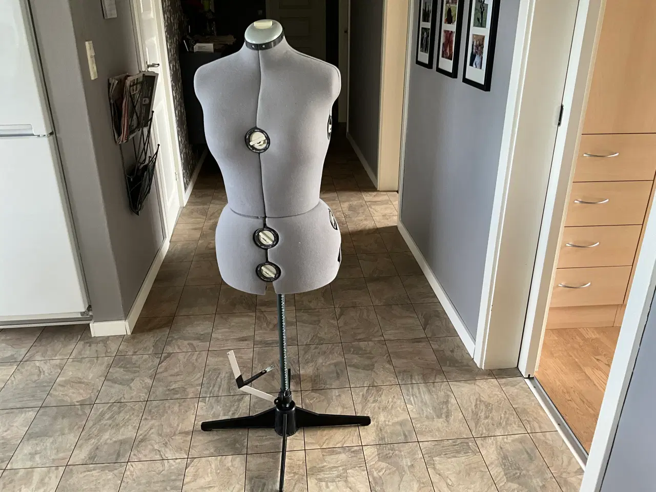 Billede 1 - Gine på stativ