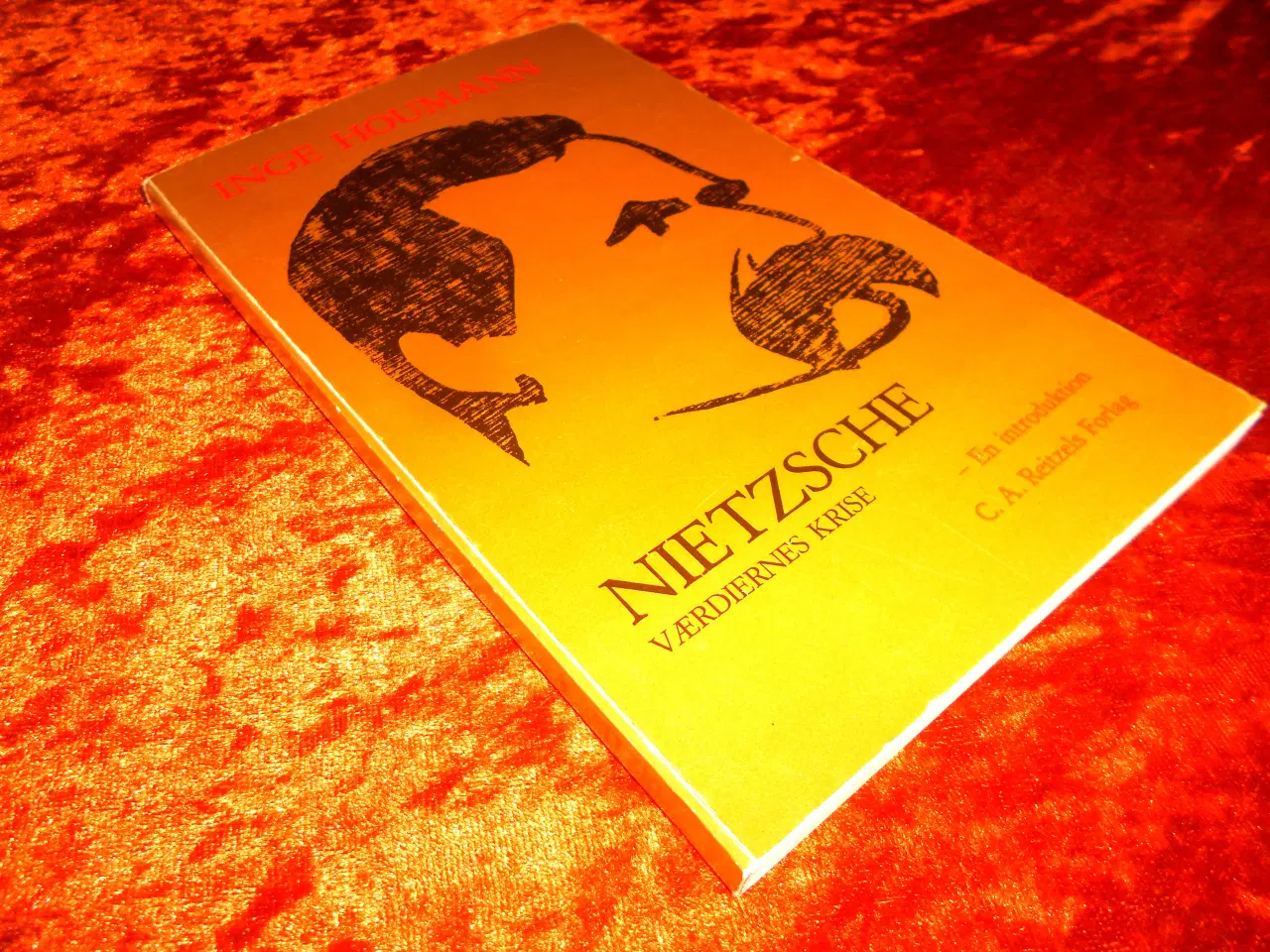 Billede 1 - Nietzsche,  Inge Houmann